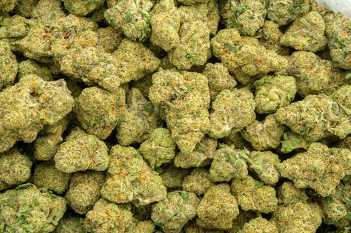 Future Haze Exotic THCA Flower