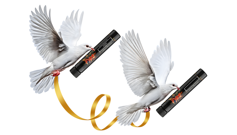 🎁 DAY 2 DEAL — Buy 1, Get 1 FREE on ANY 2pk / 1pk