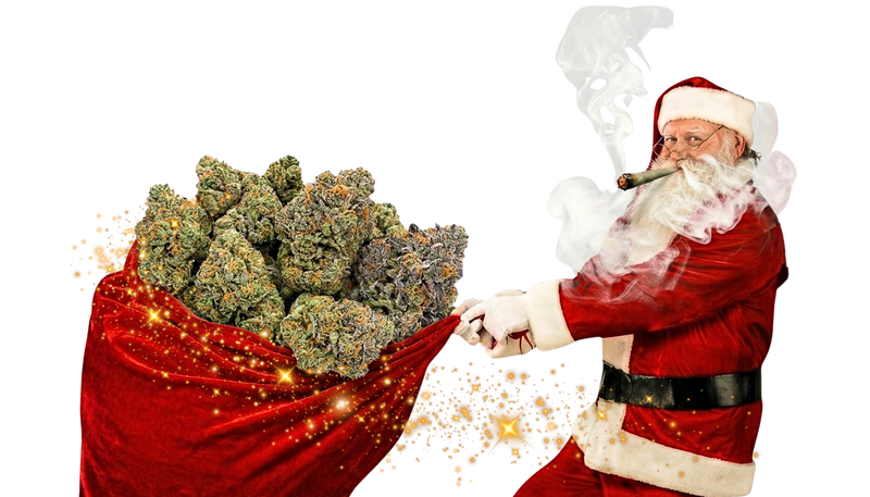 🎁 DAY 7 DEAL — 7 Ounces for $199