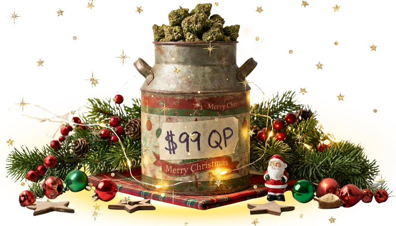🎁 DAY 8 DEAL — Quarter Pound for $99