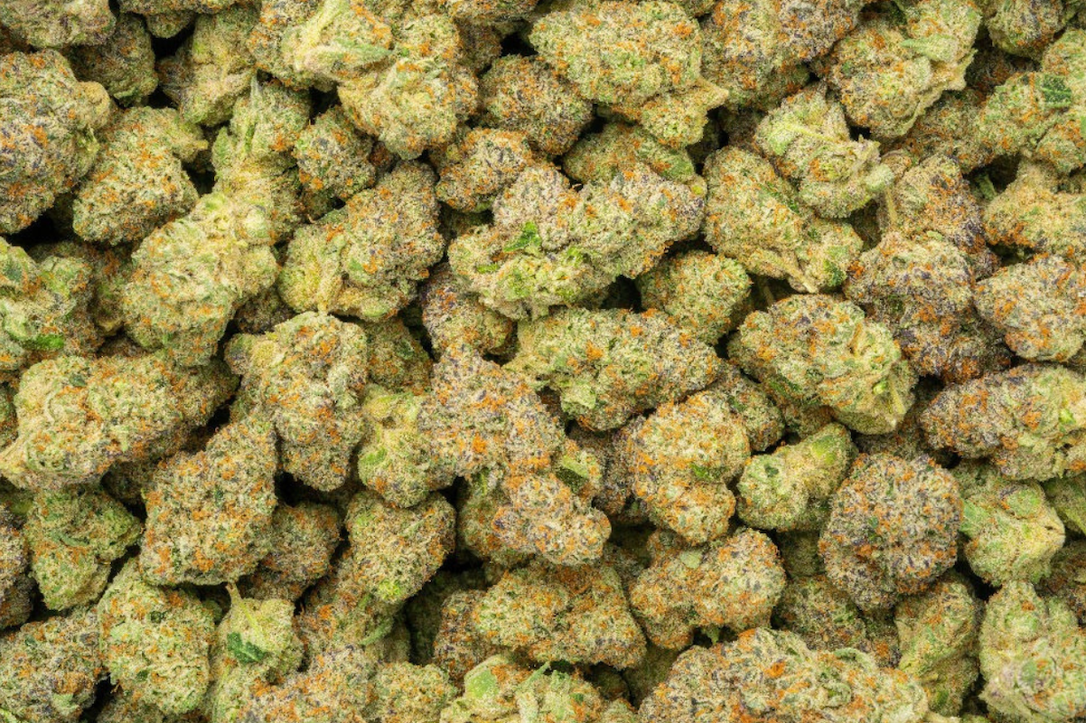 Apple Sherbet