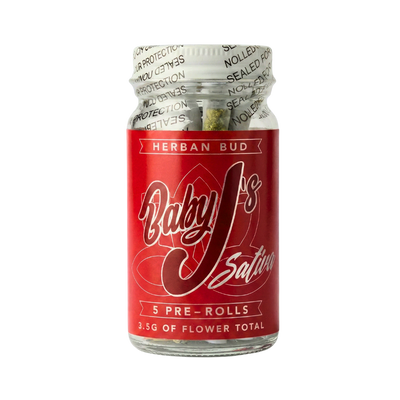 Future Haze - Sativa - 5pk Baby J's Pre-roll - 3.5g