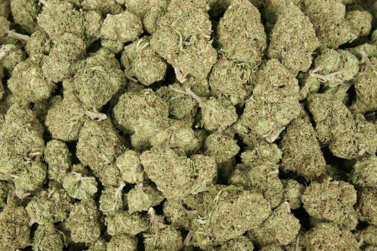 Banana Nose Candy 25% THCa Sativa - Top Shelf Ounce