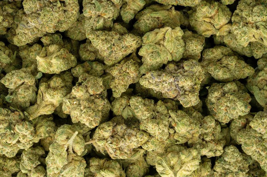 Banana Punch