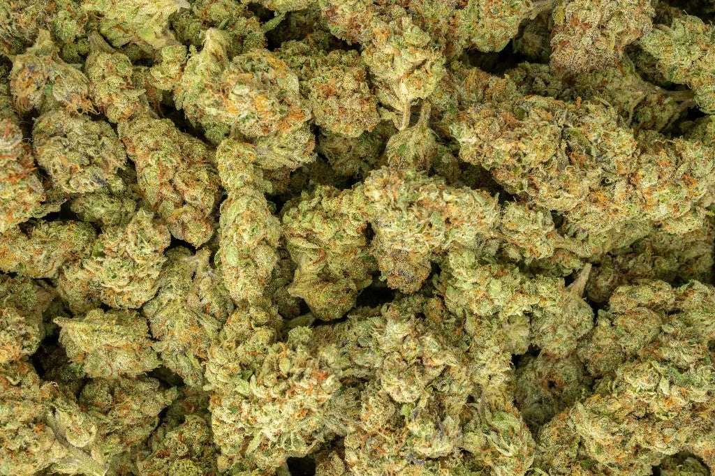 #15 Blueberry Nerdz