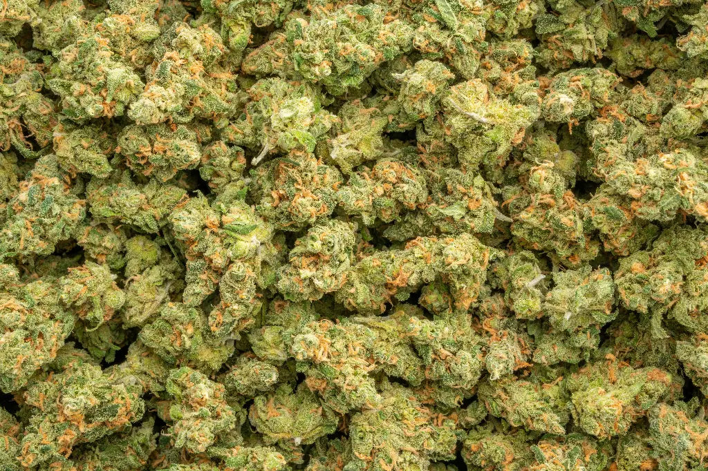Blue Dream