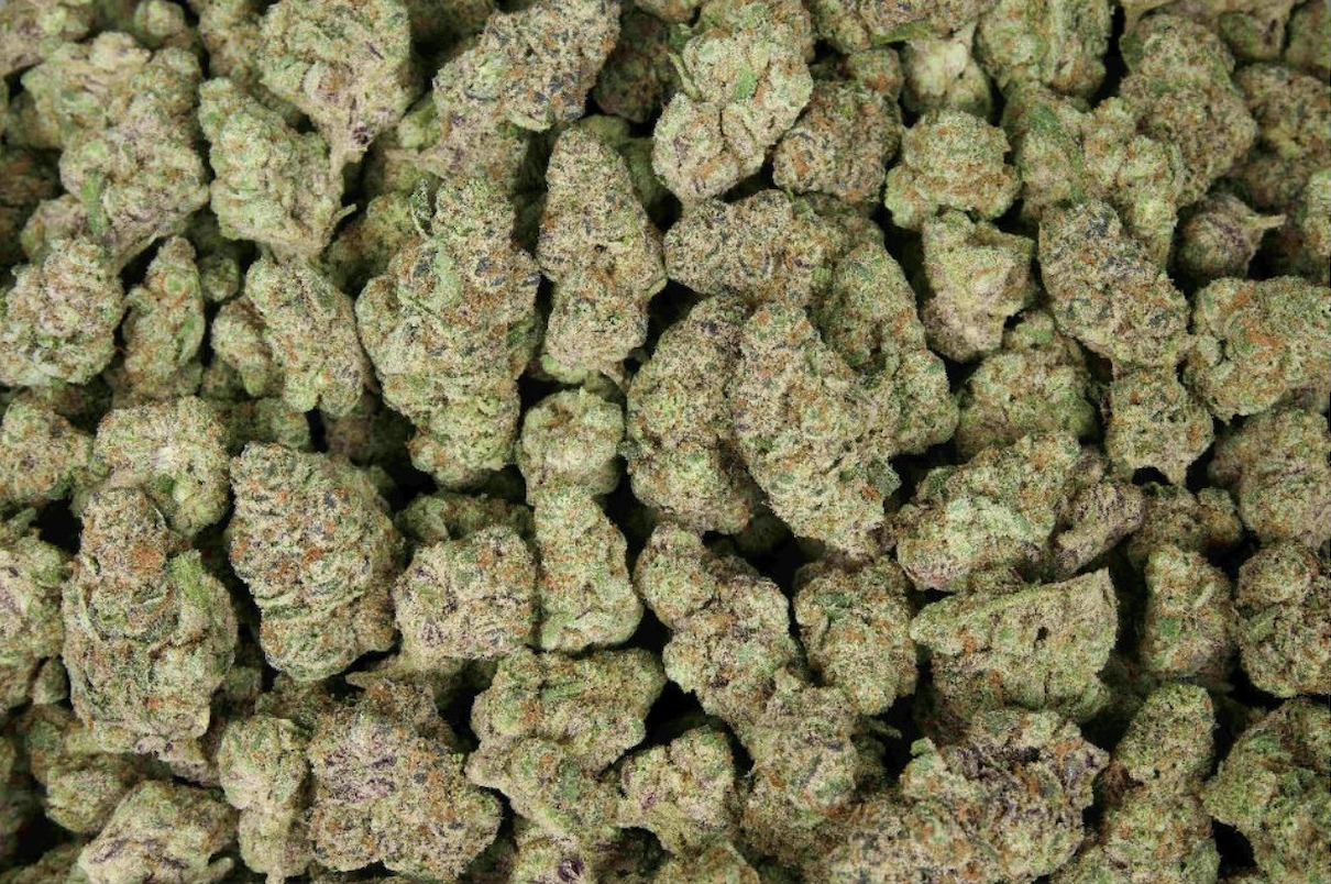 Blueberry Blast 25% THCa Sativa - Exotic Quarter Pound