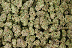 Blueberry Blast THCA Flower