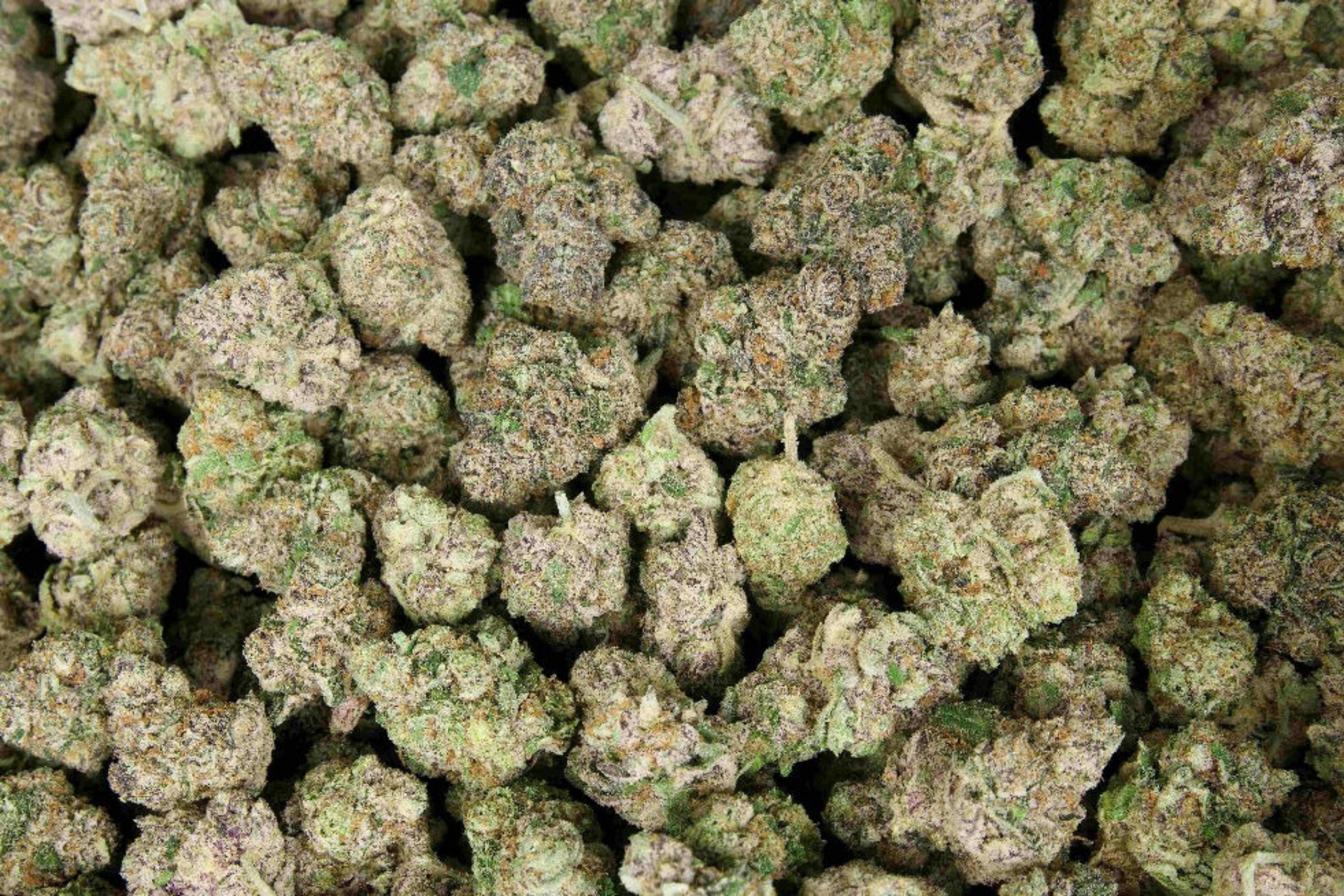 Calfire OG