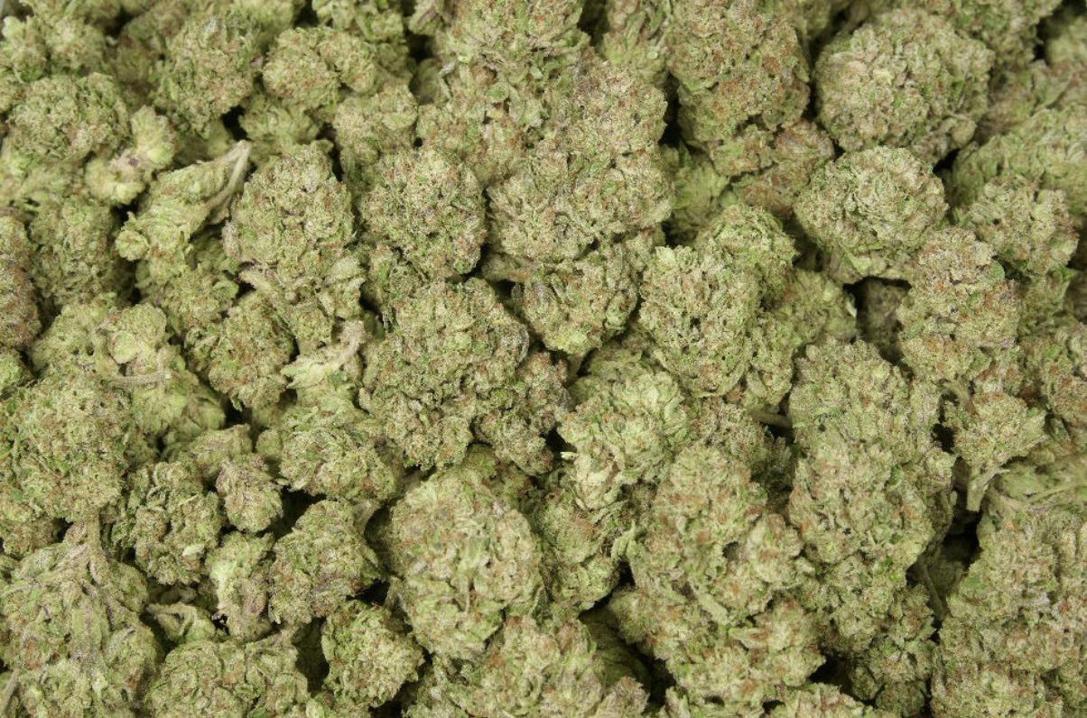 Candy Gelato