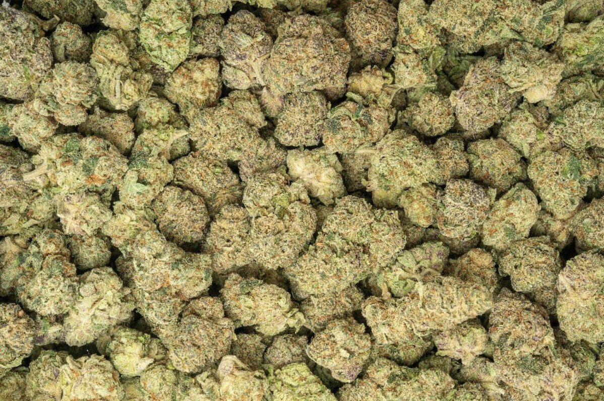 Candy Glue