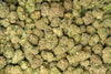 QP Quarter Pound THCa Sampler Bundle – Sativa | Exotic Strains