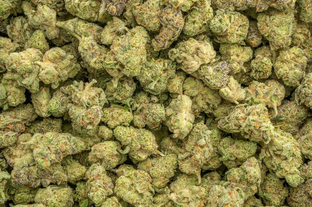 Exotic Hybrid THCa Flower