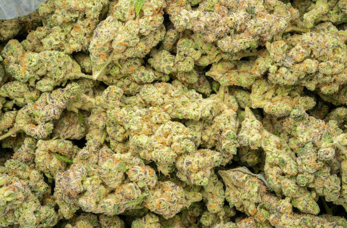 Premium Hybrid THCa Flower