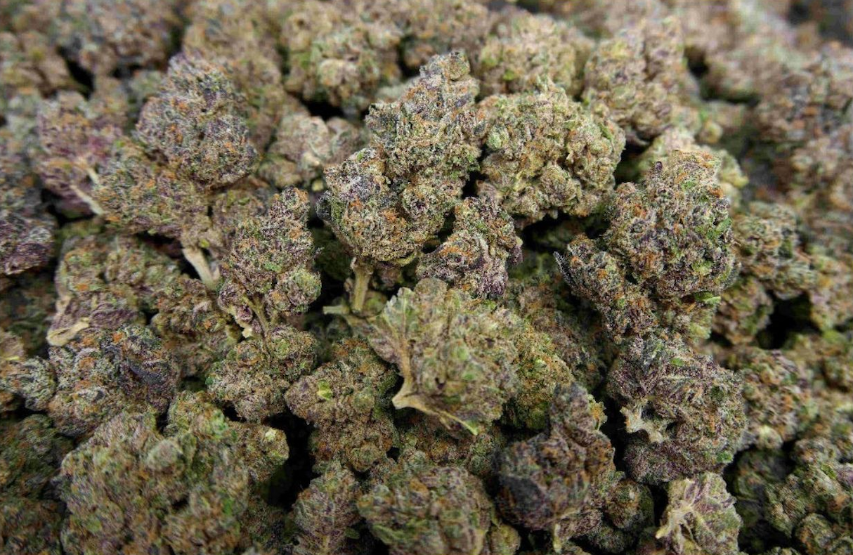 Coco-Lato