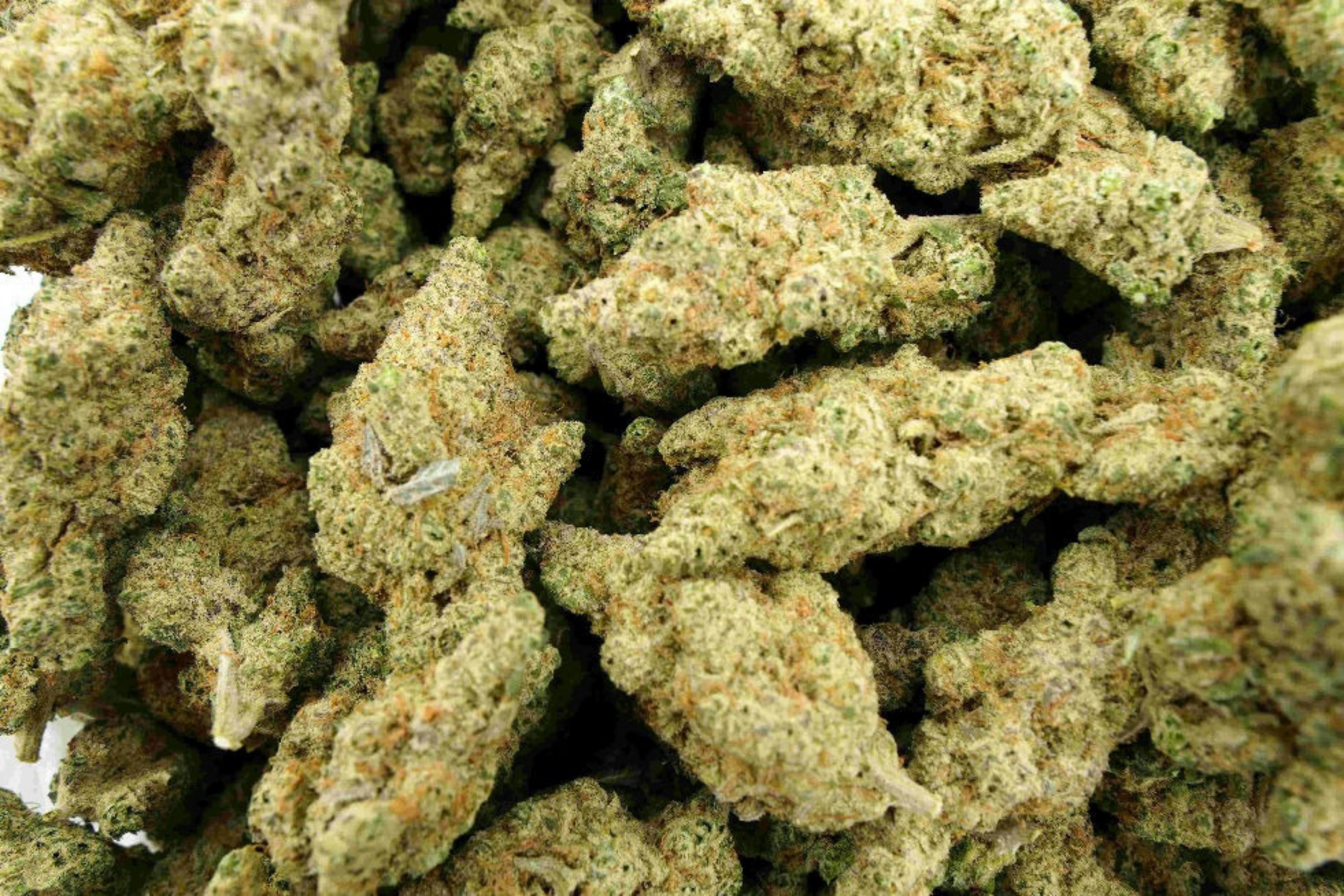 Premium Indica THCa Flower