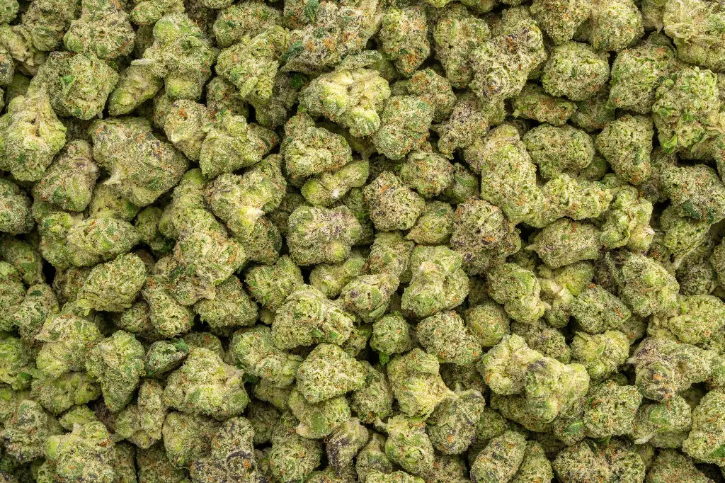Herban Bud Premium Sativa THCa Flower – View 3