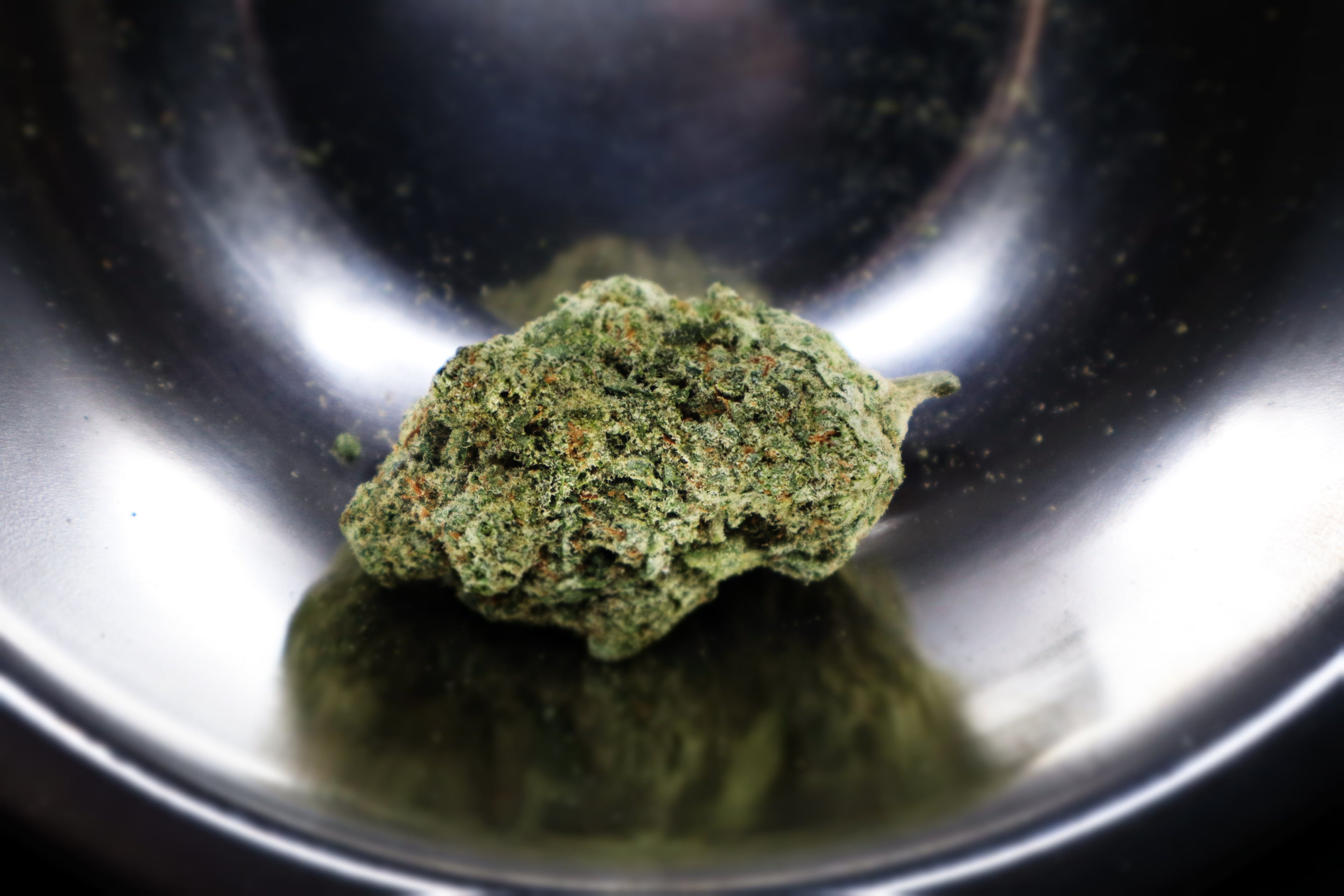 Future Haze 28% Sativa Exotic Ounce