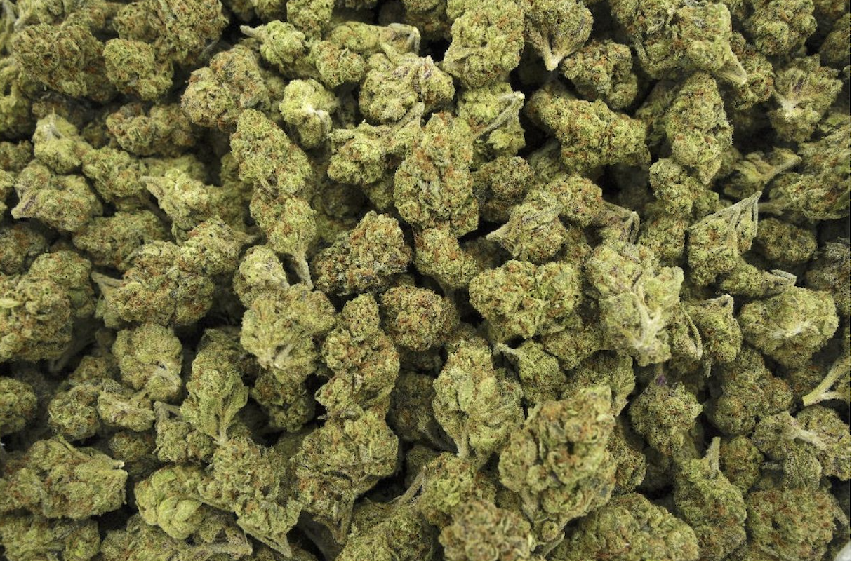 Gelato 33