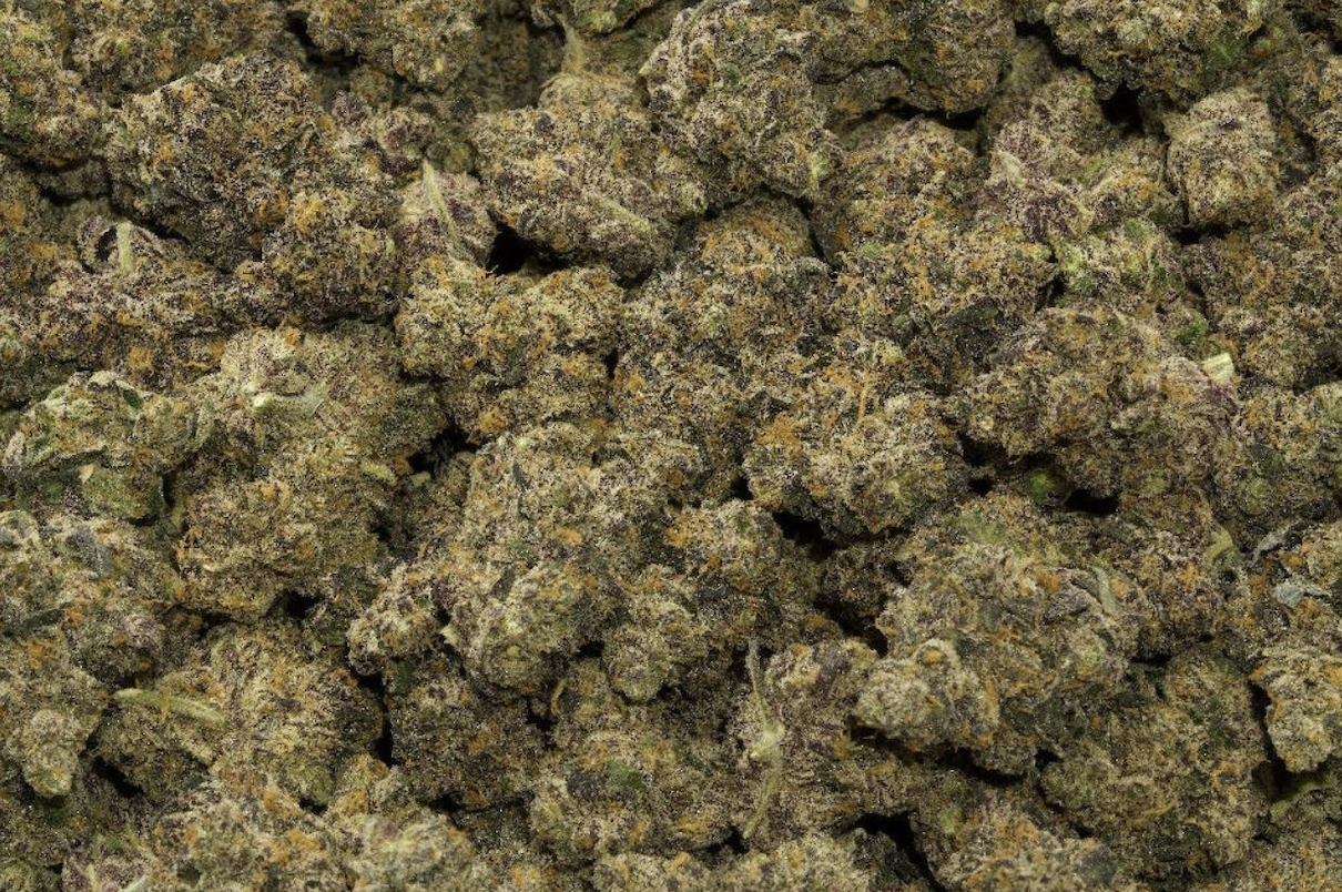 Gelato Gush Mints