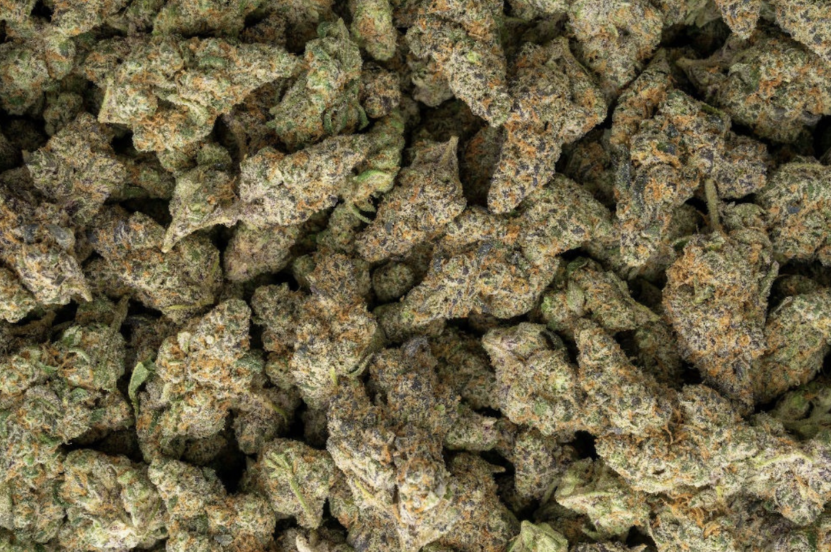 Exotic Sativa THCa Flower