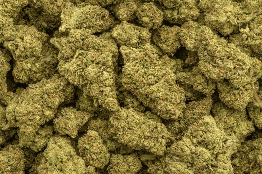 Herban Bud Premium Sativa THCa Flower – Ghost Train Haze