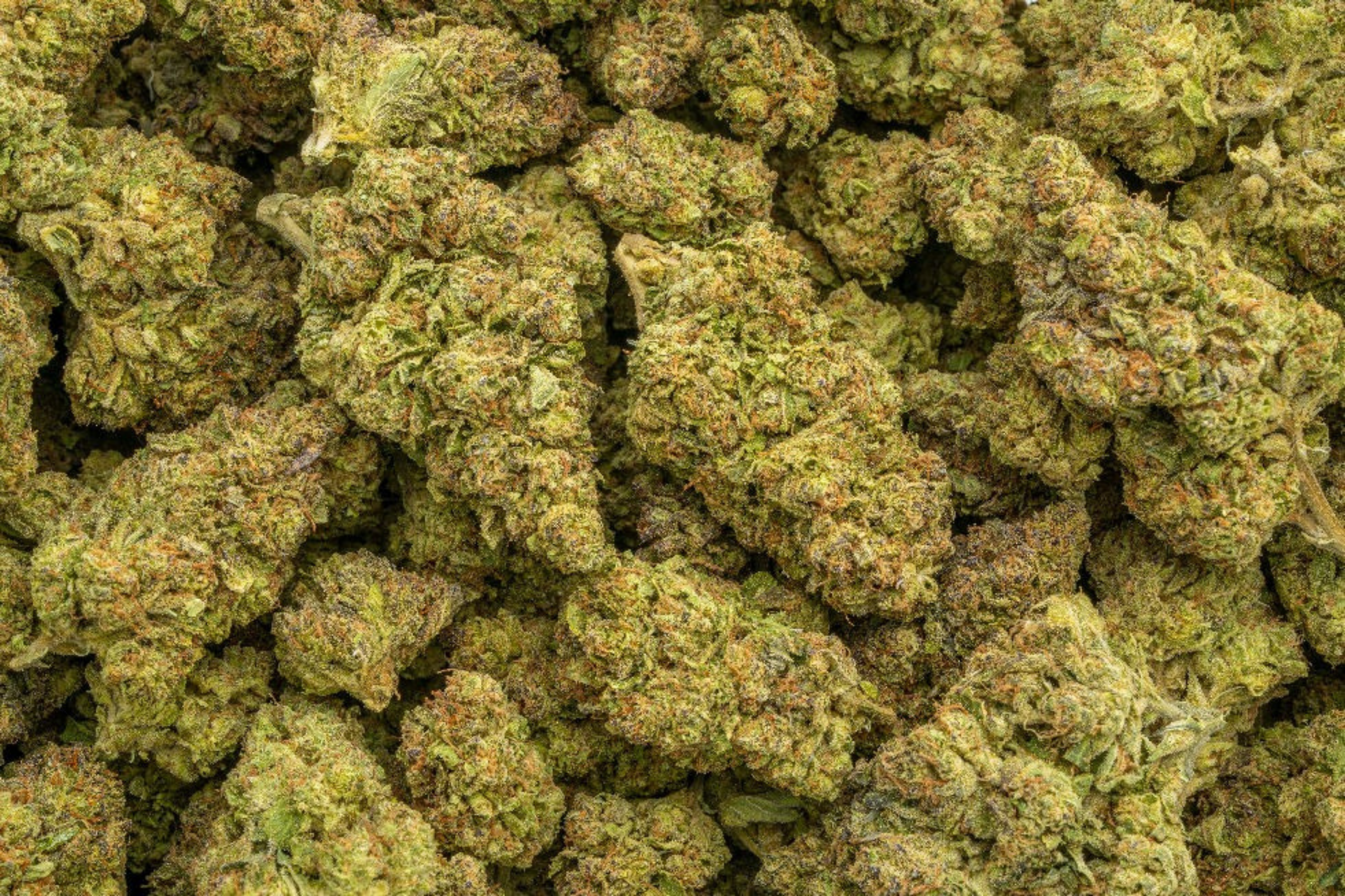 Premium Sativa THCa Flower