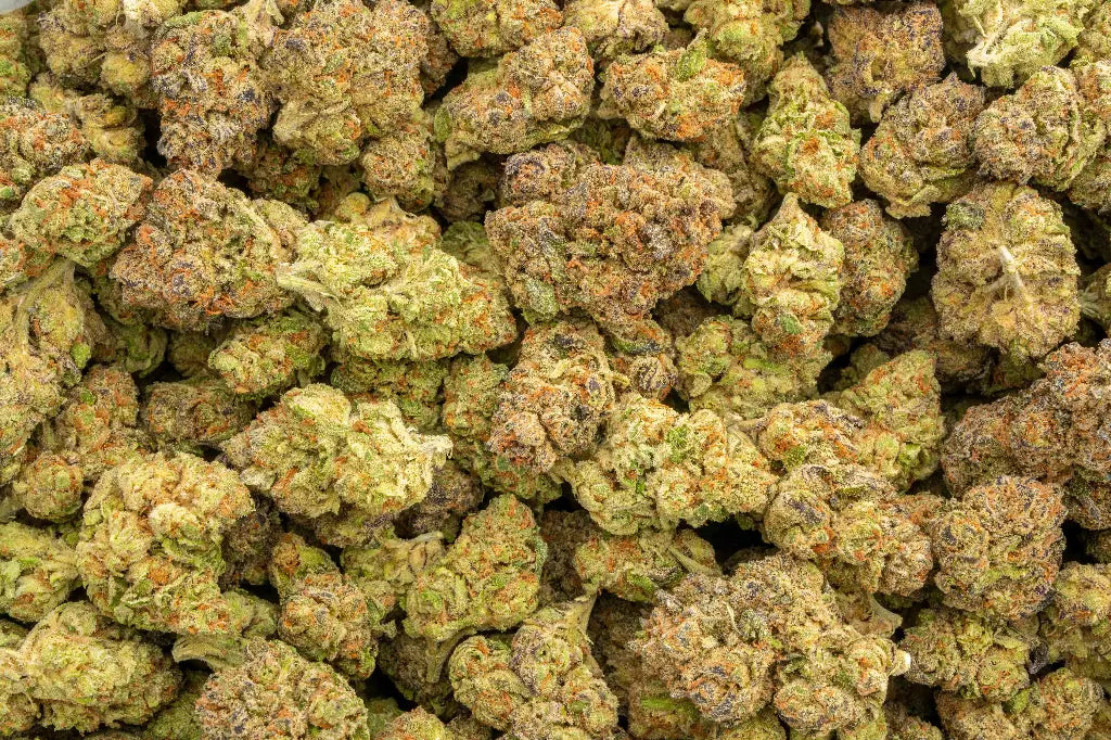 Herban Bud Premium Indica THCa Flower – Ghost Vapor OG