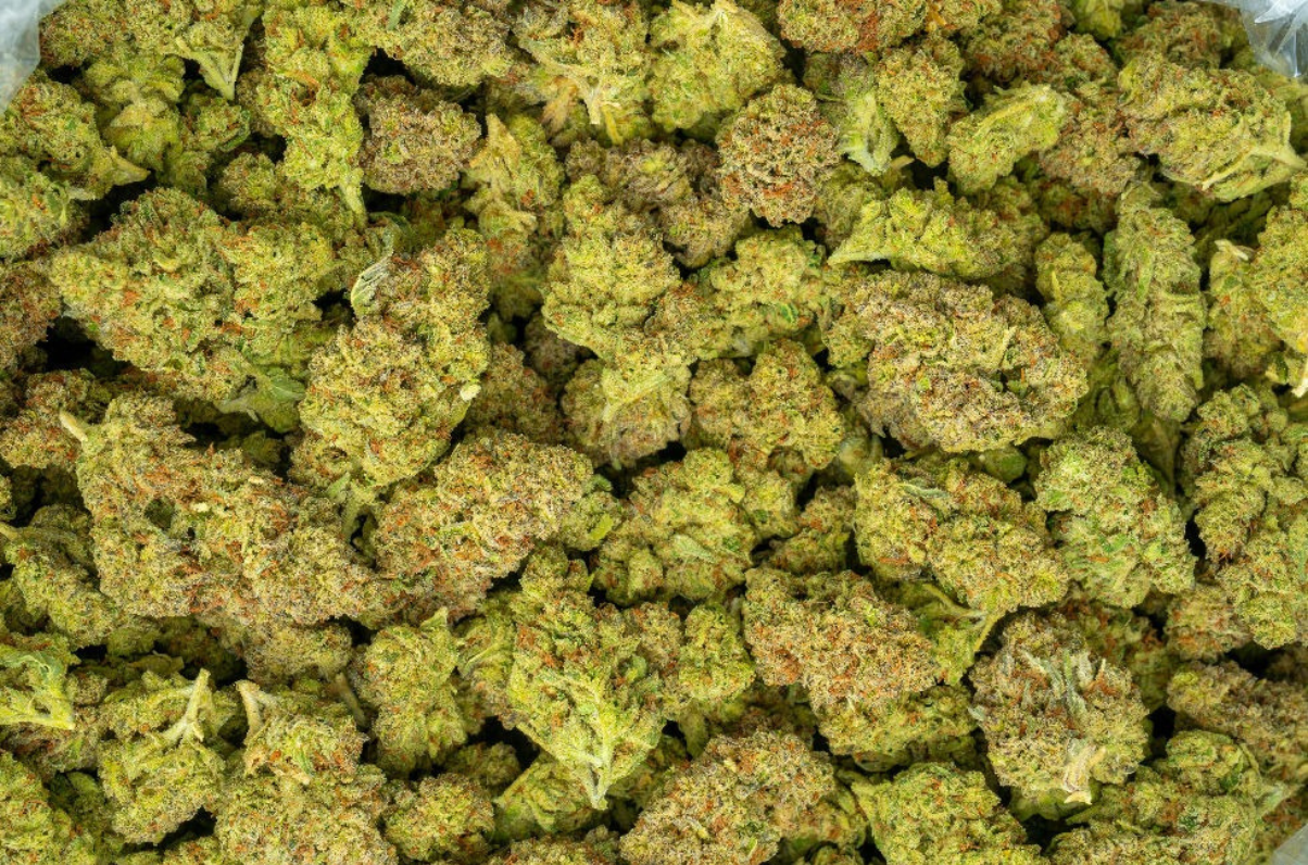 Girl Scout Cookies