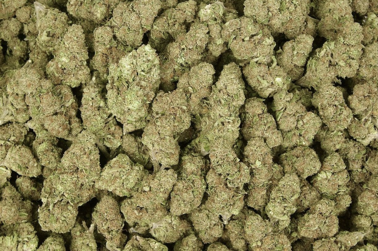 Goji OG