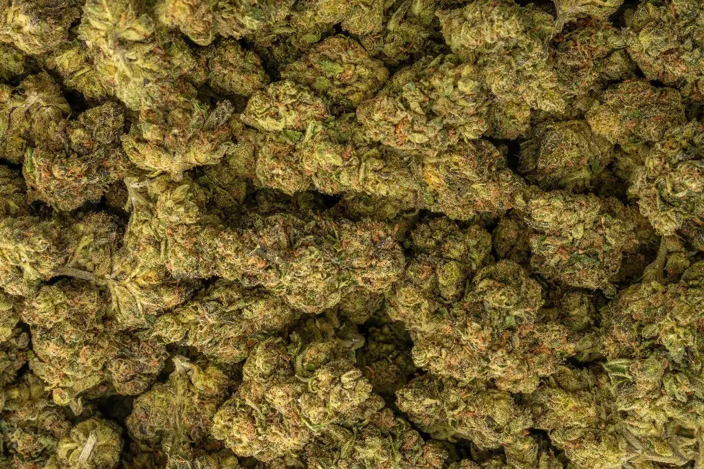 Granddaddy Purp