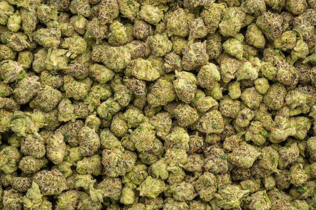 Gummiez 30% THCa Sativa - Exotic Quarter Pound