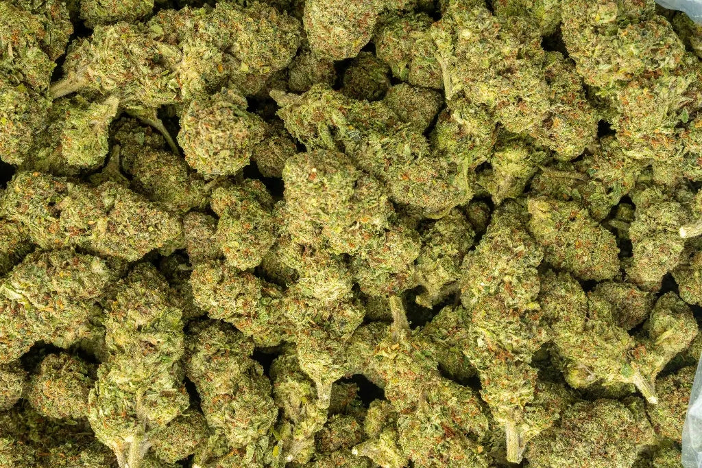 #14 Kandy Cream