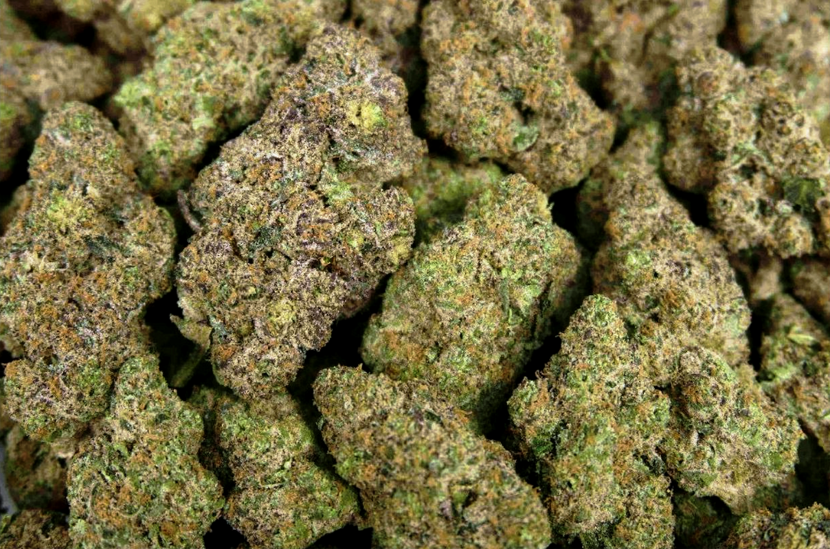 Gelato Glue