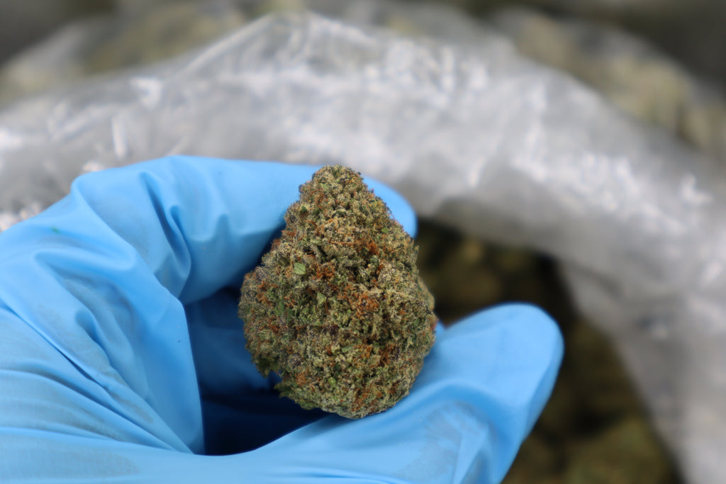 Blackberry Moonshine