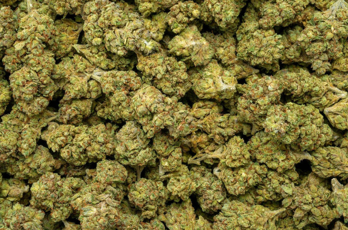 Jack Herer