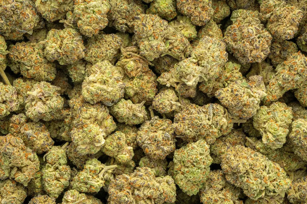 Exotic Indica THCa Flower