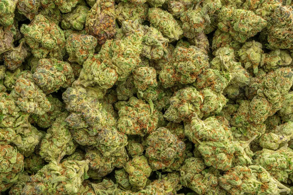 Lemon Cherry Gelato