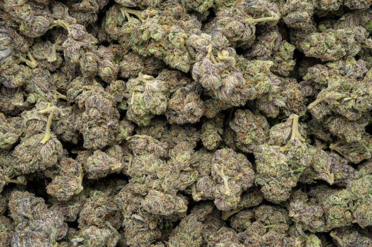 Exotic Hybrid THCa Flower