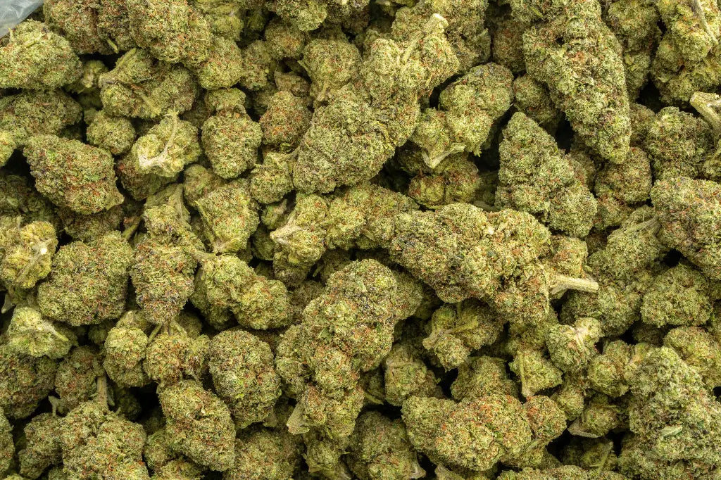 Herban Bud Premium Indica THCa Flower – Mr Nasty
