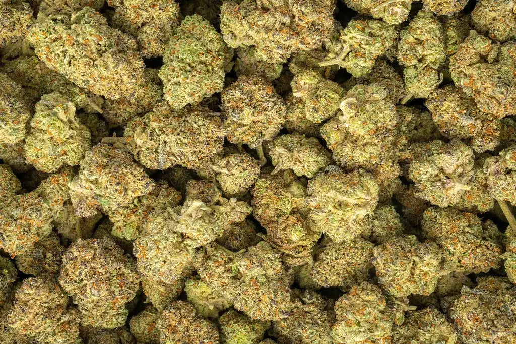 NY Sour Diesel