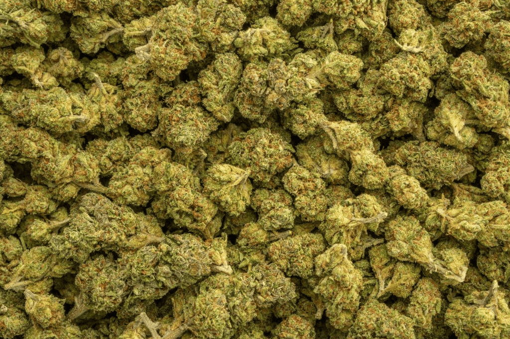 Herban Bud Premium Sativa THCa Flower – Nimbus Snacks