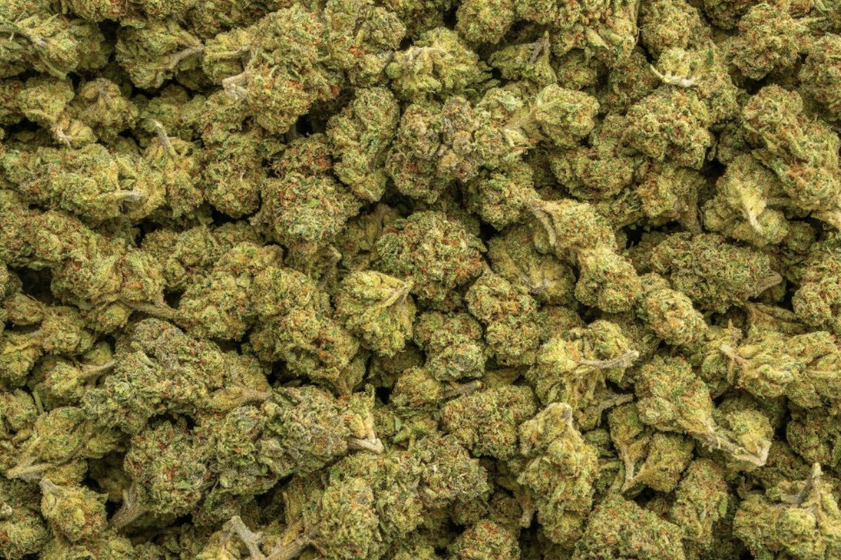 Premium Sativa THCa Flower