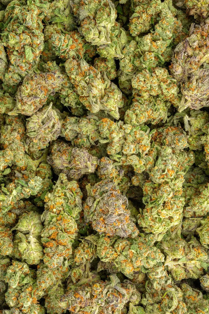 Herban Bud Premium Indica THCa Flower – Northern Lights