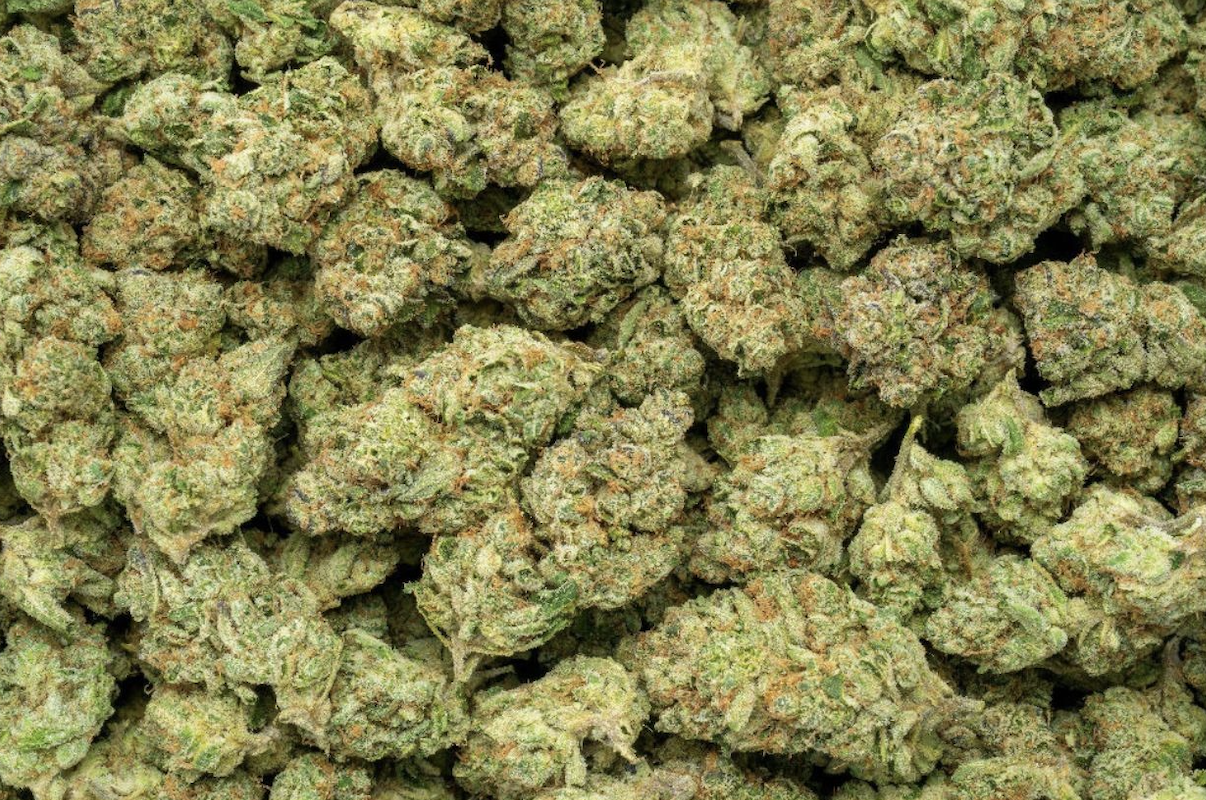 Premium Hybrid THCa Flower