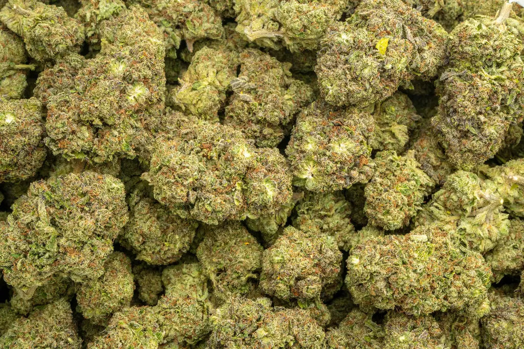 OG Kush