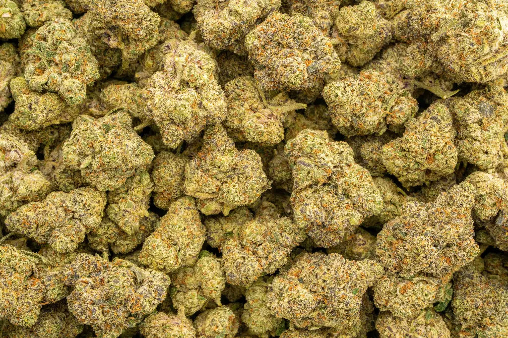 Oreo Blizzy