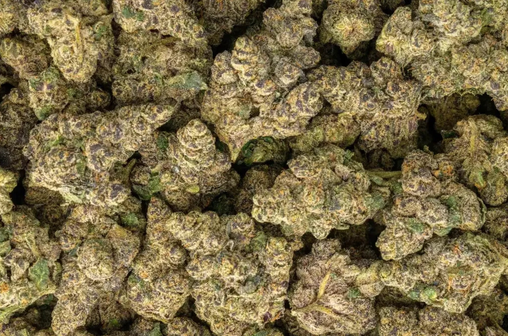 Herban Bud Exotic Hybrid THCa Flower – Pink Runtz