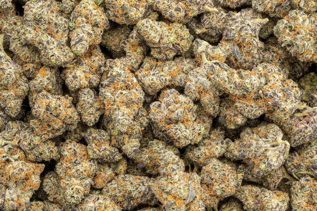 Exotic Sativa THCa Flower