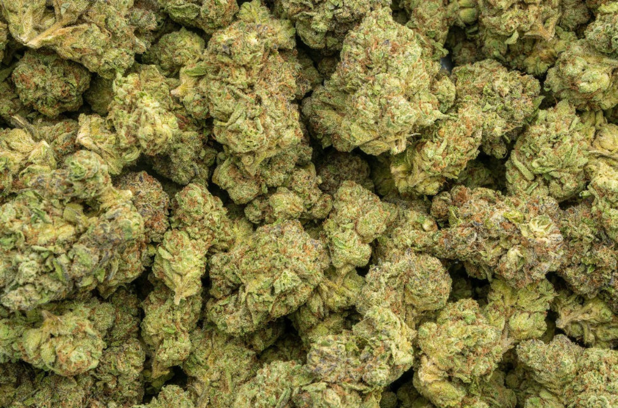 Purple Champagne